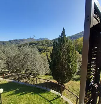 Foto annuncio 24