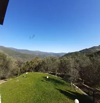 Foto annuncio 25