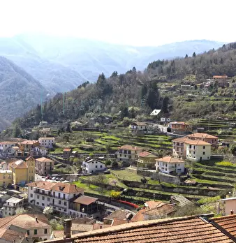 Foto annuncio 35