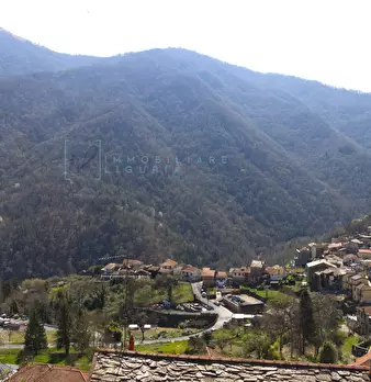 Foto annuncio 36
