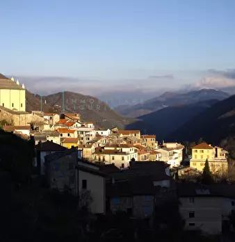 Foto annuncio 37