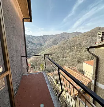 Foto annuncio 11