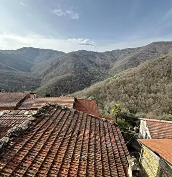 Foto annuncio 12