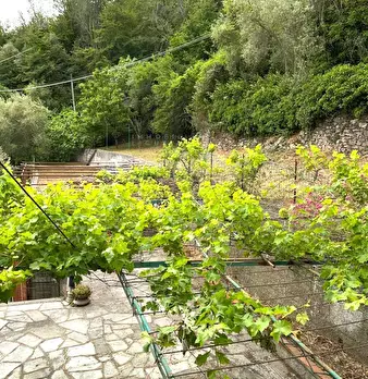Foto annuncio 20
