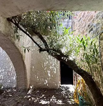 Foto annuncio 42