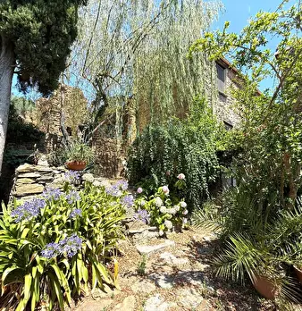 Foto annuncio 2