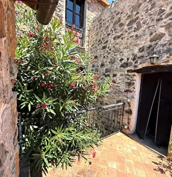 Foto annuncio 47