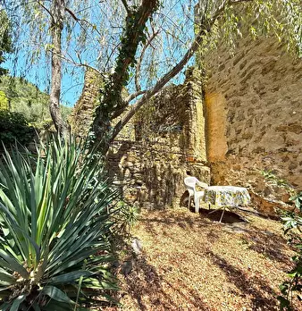 Foto annuncio 49