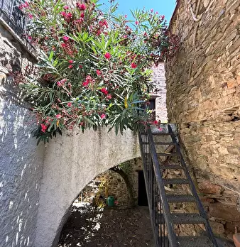 Foto annuncio 55