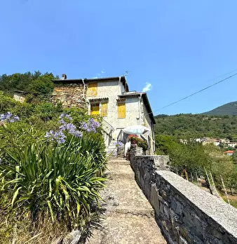 Foto annuncio 19