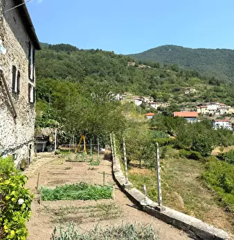 Foto annuncio 21