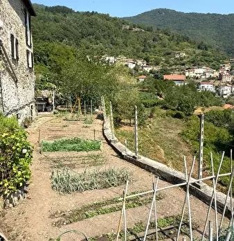 Foto annuncio 22