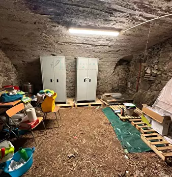 Foto annuncio 22