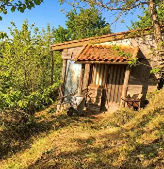 Foto annuncio 29