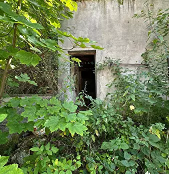 Foto annuncio 24