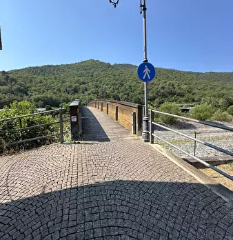 Foto annuncio 34