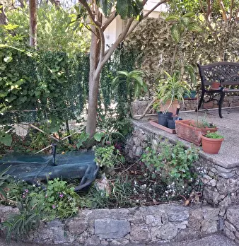Foto annuncio 17