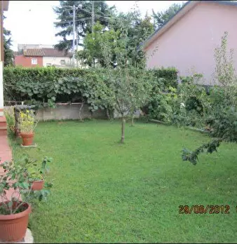Foto annuncio 8