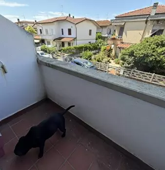 Foto annuncio 36