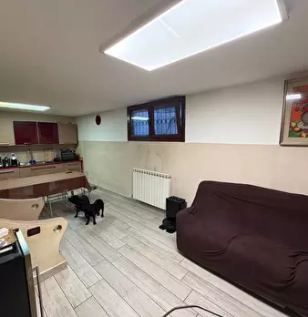 Foto annuncio 17