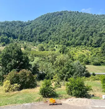 Foto annuncio 56