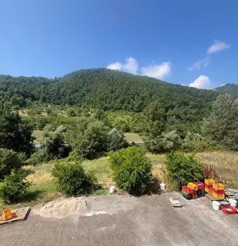 Foto annuncio 21