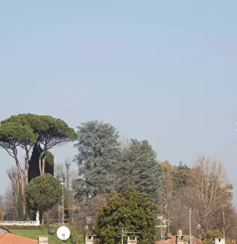 Foto annuncio 36