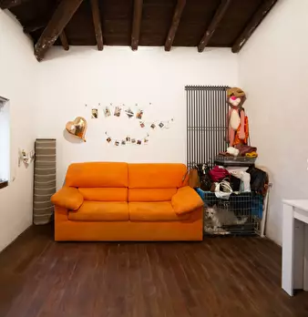 Foto annuncio 43