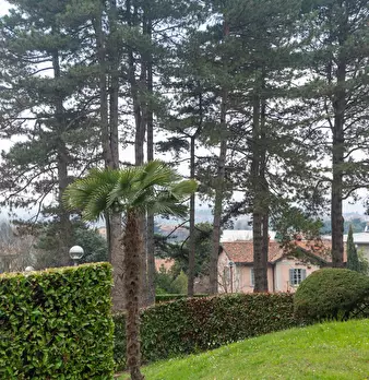 Foto annuncio 10