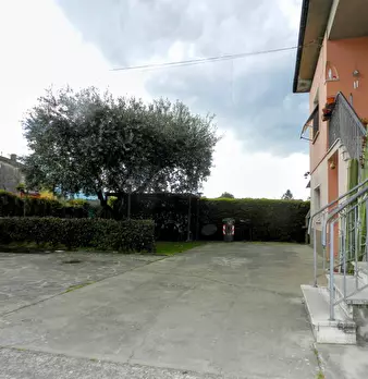 Foto annuncio 37