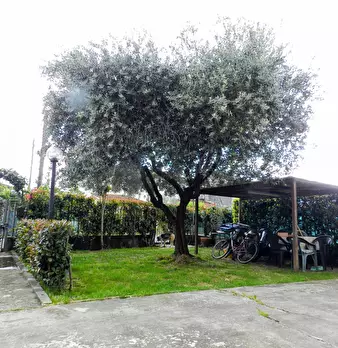 Foto annuncio 40