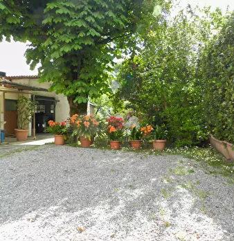 Foto annuncio 48
