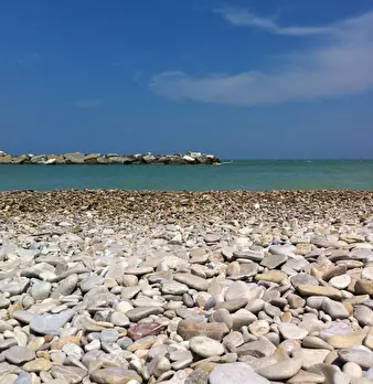Foto annuncio 7