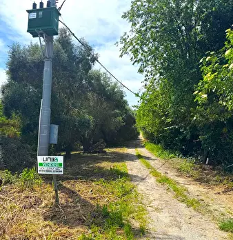 Foto annuncio 5