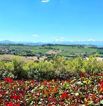 Foto annuncio 24