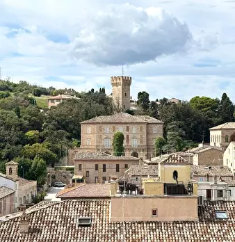 Foto annuncio 8
