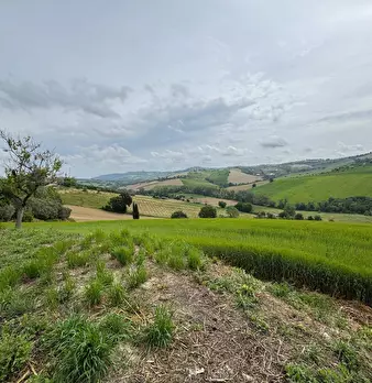 Foto annuncio 7
