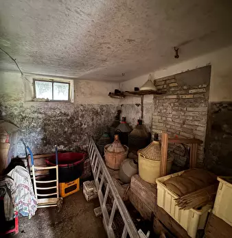 Foto annuncio 17