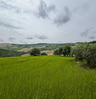 Foto annuncio 19