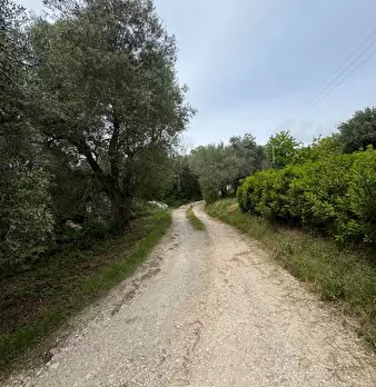 Foto annuncio 18