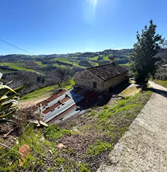 Foto annuncio 1