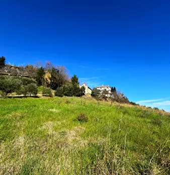 Foto annuncio 4