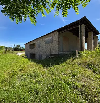 Foto annuncio 5