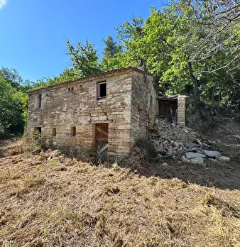 Foto annuncio 2