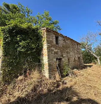Foto annuncio 3
