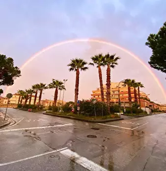 Foto annuncio 8