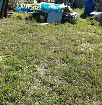 Foto annuncio 4