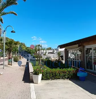 Foto annuncio 44