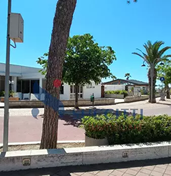Foto annuncio 45