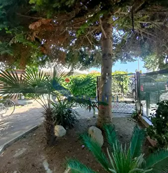 Foto annuncio 56